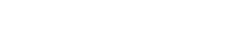 RapidCloud
